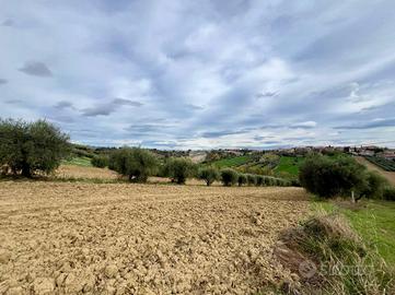 TER. AGRICOLO A MOSCIANO SANT'ANGELO