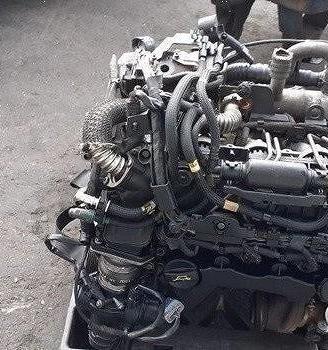Motore citroen peugeot 9hx