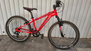 Bottecchia 24" alluminio 