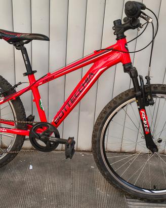 Bottecchia 24" alluminio 