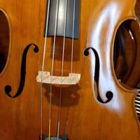 Violoncello Liutaio V.Pecha H. Prague 1962