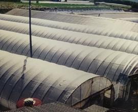Azienda agricola con serre
