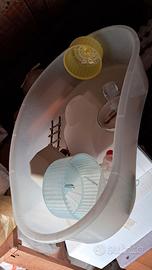 Vasca per tartarughe