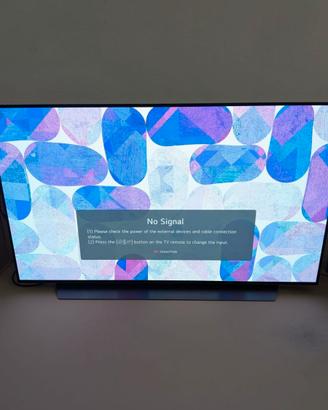 LG C2 OLED 48