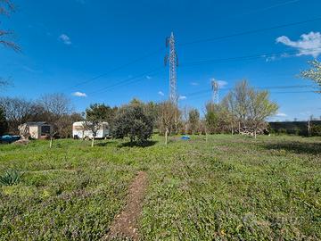 Terreno agricolo