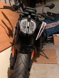 Duke 790 L grigia   03.2024