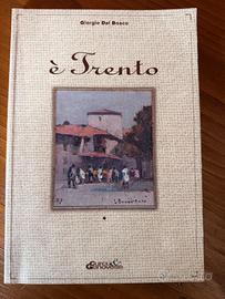E’ Trento di Giorgio Dal Bosco