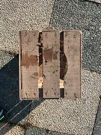 Casse in legno