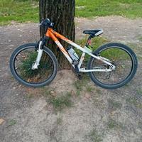 Mtb ruote 24