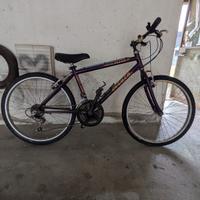 Bicicletta Atala Flyer 2420