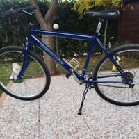 Bici uomo