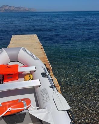 Gommone intex 310