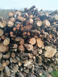 Legna da ardere