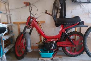 Motorino Peripoli 