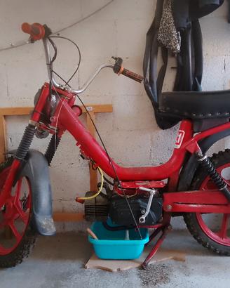 Motorino Peripoli 