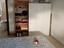 Immagine 29
