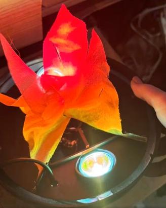 lampada led