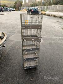 Batteria gabbie piccola