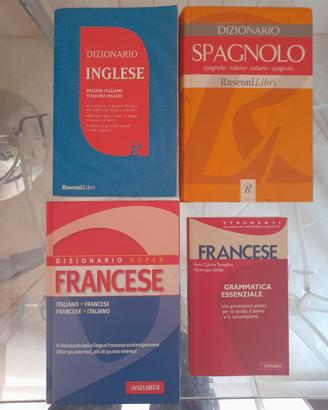 Dizionario 