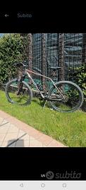 bottecchia 29