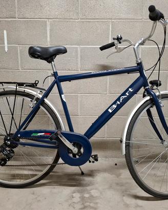 City Bike uomo 28" BiArt