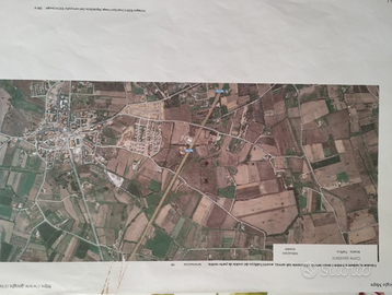 27.000 mq di terreno a Girasole (Nu)