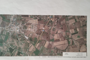 27.000 mq di terreno a Girasole (Nu)