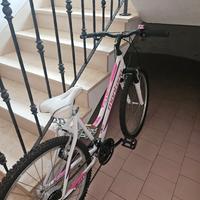 bici montana