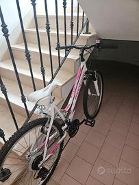 bici montana