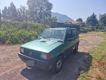 Fiat Panda 4x4 Trekking 1.1 benzina