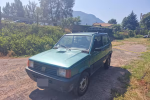 Fiat Panda 4x4 Trekking 1.1 benzina