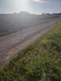 Terreno agricolo a sestu