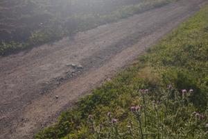 Terreno agricolo a sestu