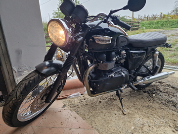 Triumph Bonneville t100