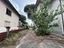 Immagine 19