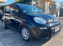fiat-panda-1-0-hybrid-70cv-5p-uconnect5-bt