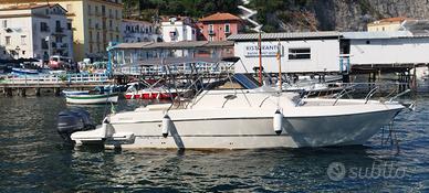 IMPETUS 33 anno 2024 motori Yamaha