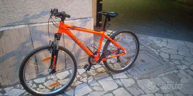 Mountain Bike Alpina M10