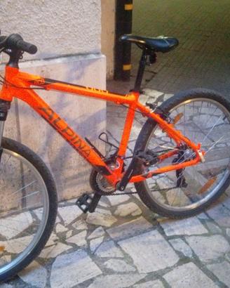 Mountain Bike Alpina M10