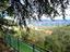 Immagine 11