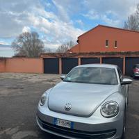 Volkswagen Maggiolino  2013