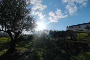 Villa con giardino