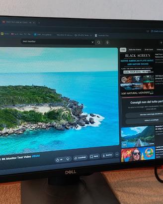 Monitor 24" DELL P2419H (Full HD)