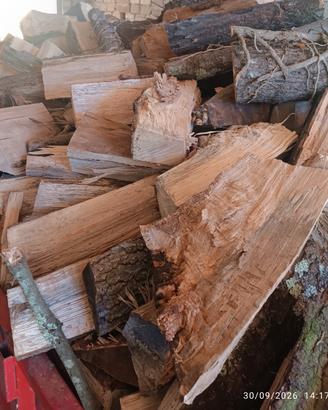 Legna di quercia 