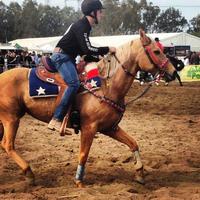 Cavallo