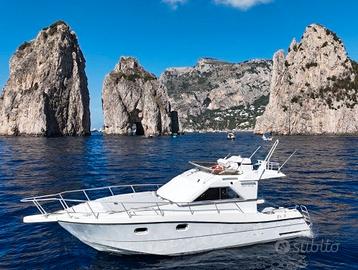 Natante Ars Mare 31 Fly - con posto barca