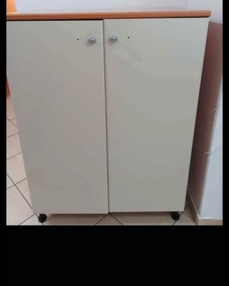 armadietto multiuso 2 ante