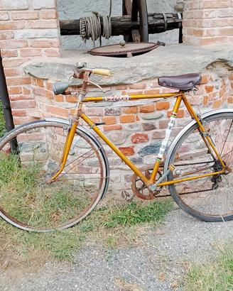Bici Welker