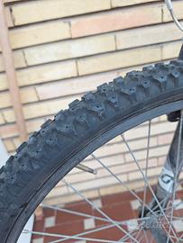 Bicicletta ragazzo