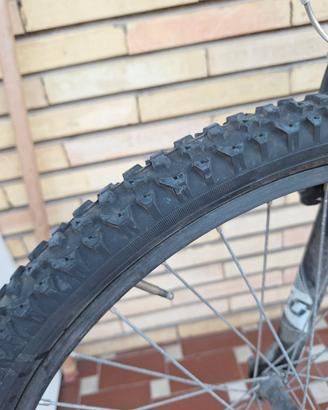 Bicicletta ragazzo
